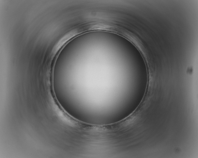 X0000112961050200909031017