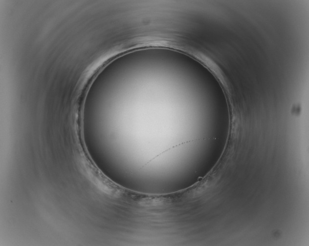 X0000112961051200909031017