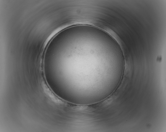 X0000112961052200909031017