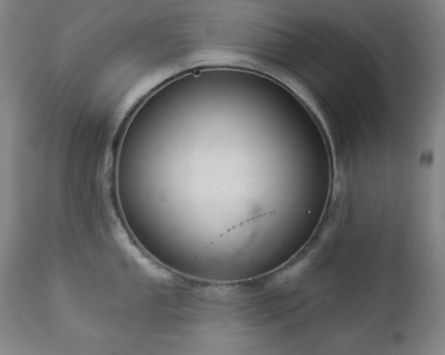 X0000112961053200909031017