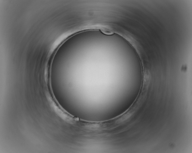 X0000112961054200909031017