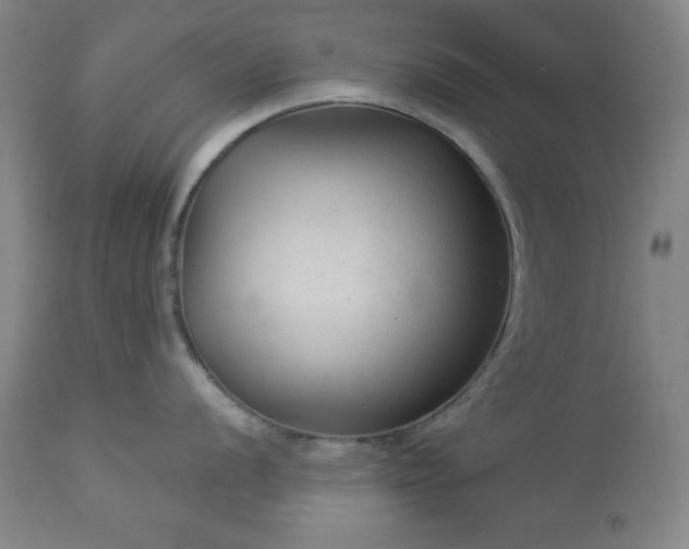 X0000112961056200909031017