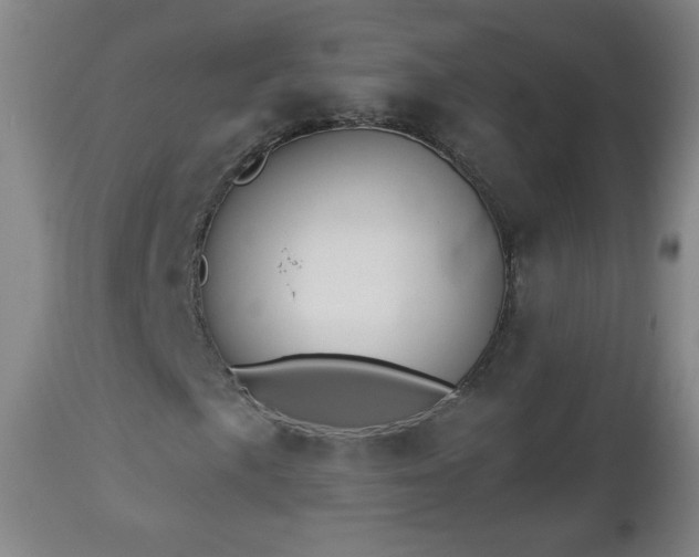 X0000112961057200909031016