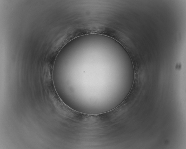 X0000112961058200909031016