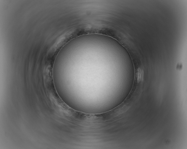 X0000112961059200909031016