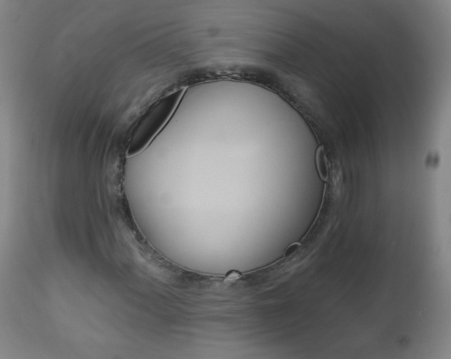 X0000112961060200909031016