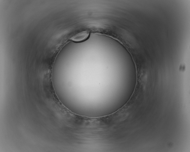 X0000112961061200909031016