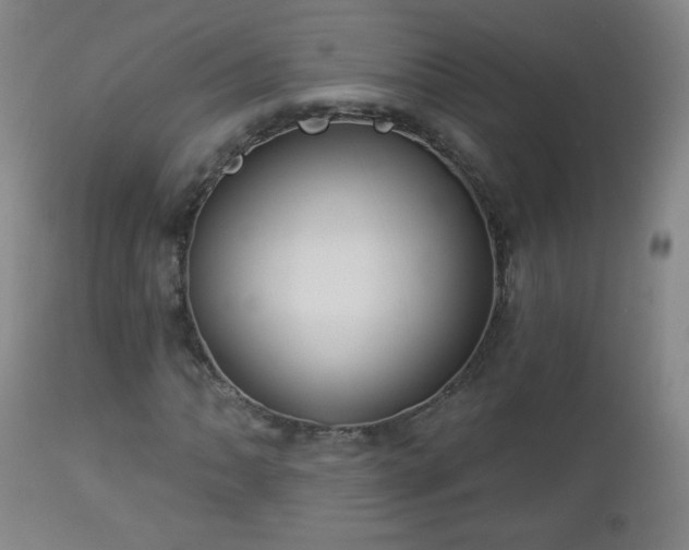 X0000112961062200909031016