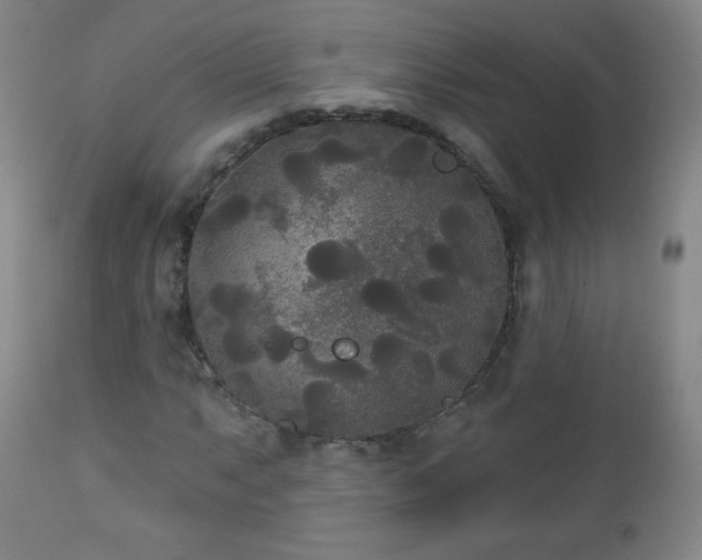 X0000112961063200909031016