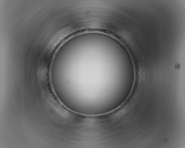 X0000112961065200909031016