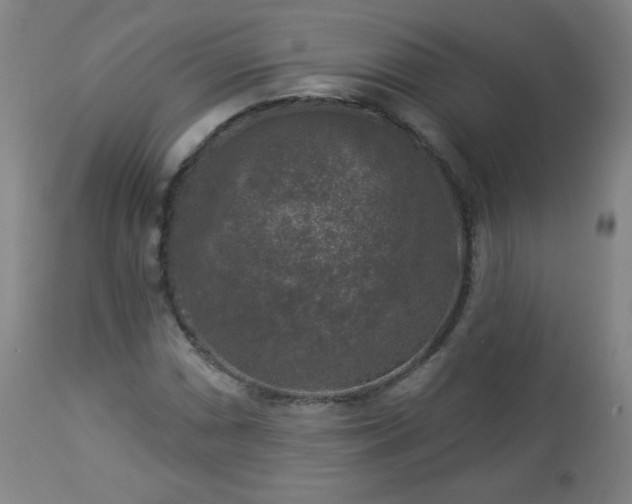 X0000112961066200909031016