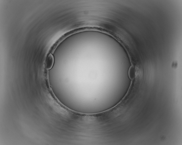 X0000112961068200909031016