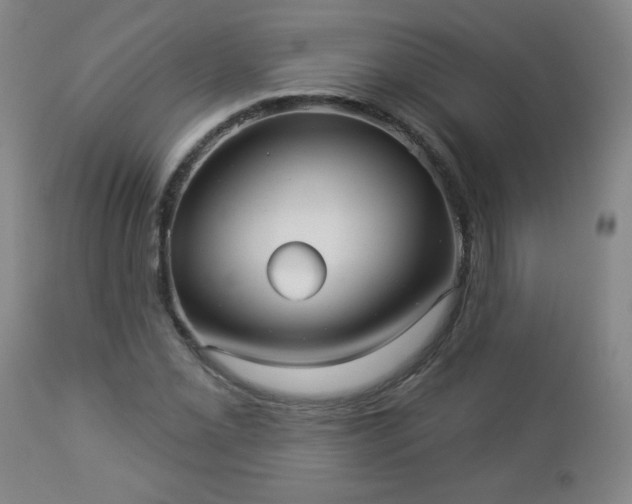 X0000112961069200909031016