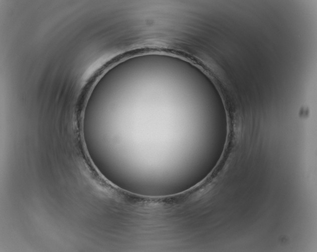 X0000112961070200909031016