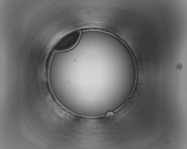 X0000112961072200909031016