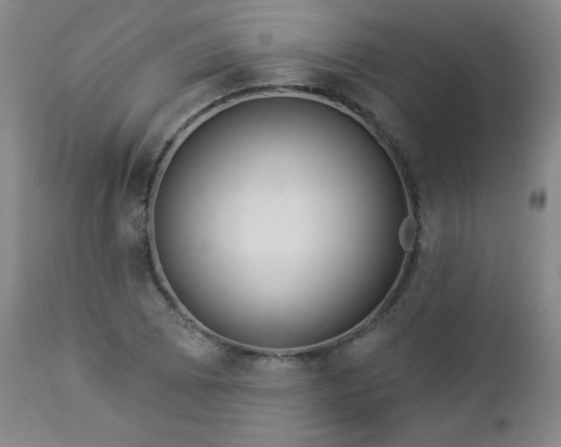 X0000112961073200909031016