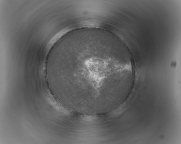 X0000112961074200909031016