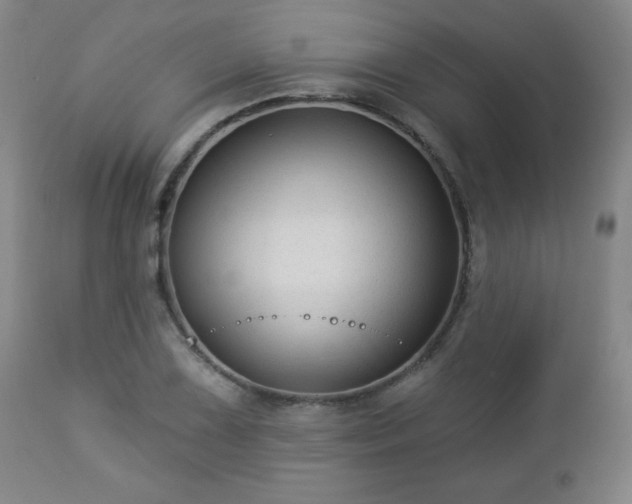 X0000112961075200909031016