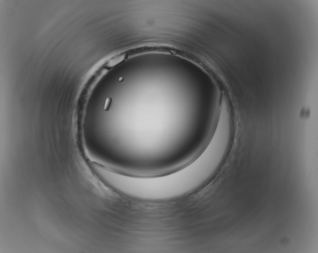 X0000112961076200909031016