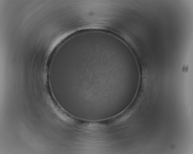 X0000112961077200909031016