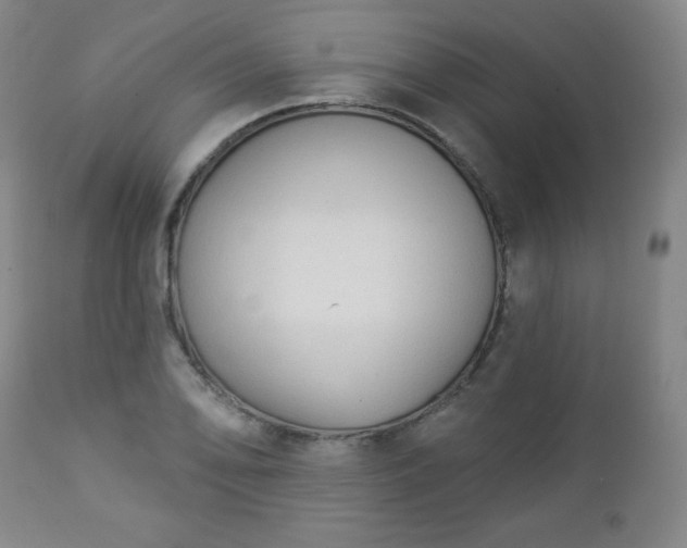 X0000112961078200909031016