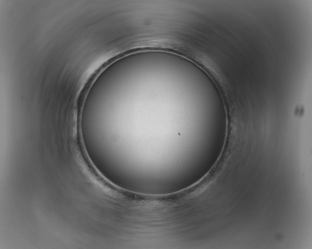 X0000112961079200909031016