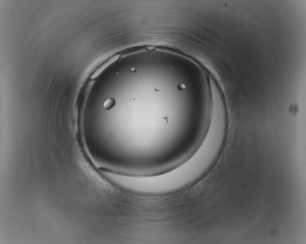 X0000112961080200909031016