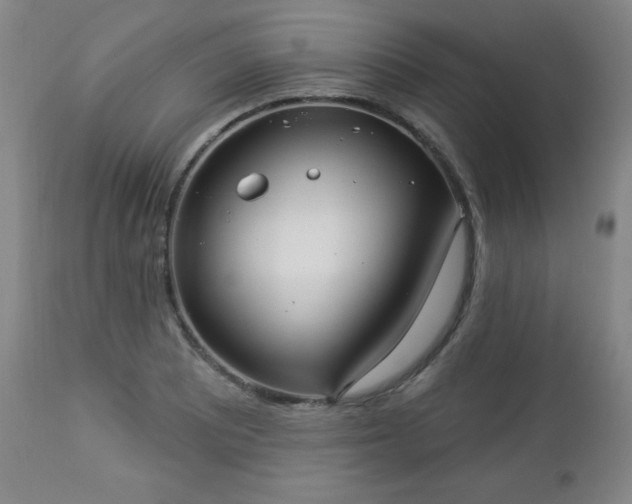 X0000112961081200909031016