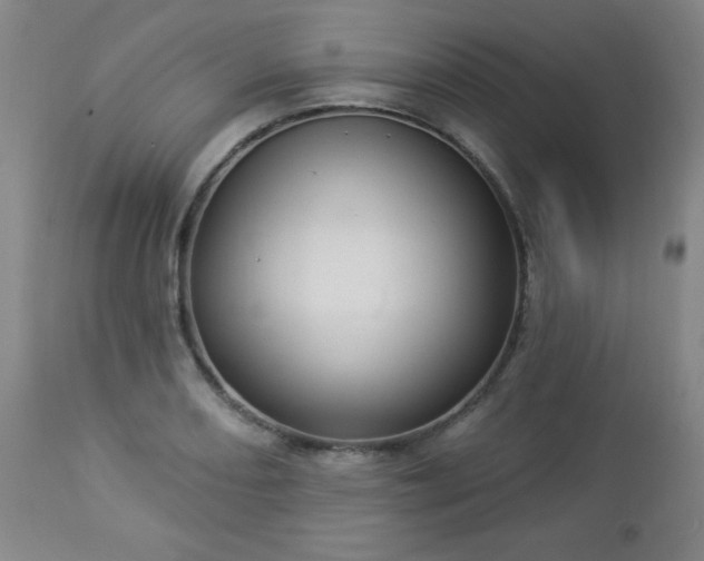 X0000112961082200909031016