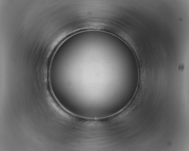 X0000112961083200909031016