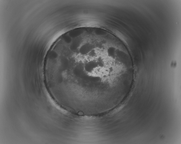 X0000112961087200909031016