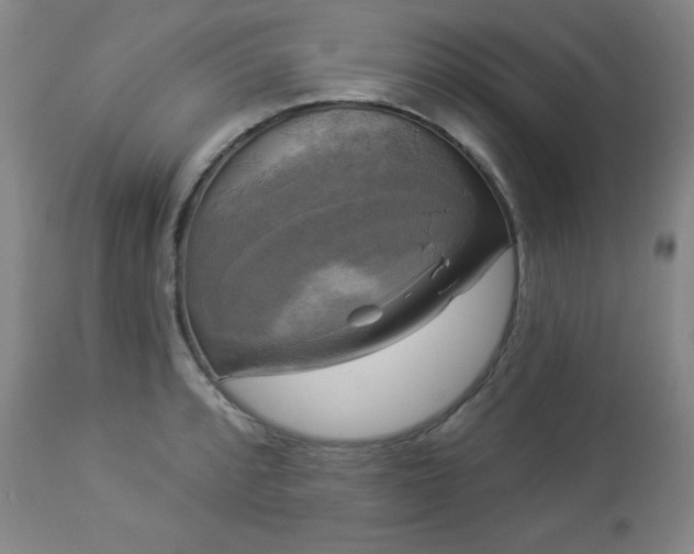 X0000112961088200909031016