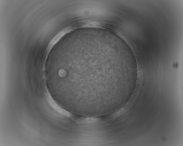 X0000112961090200909031016