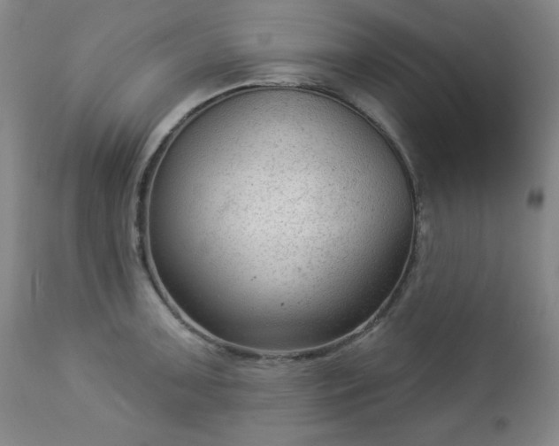 X0000112961091200909031016