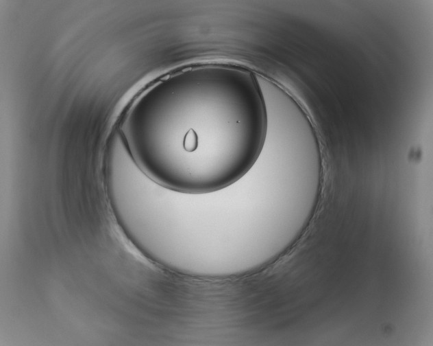 X0000112961092200909031016