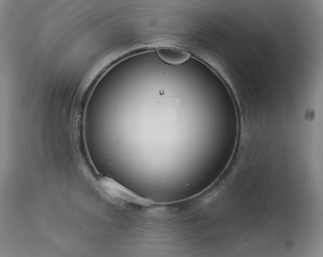 X0000112961093200909031016