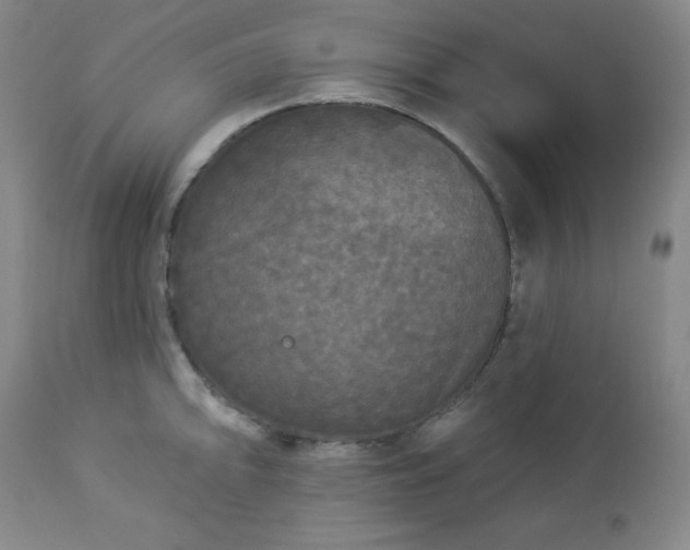 X0000112961094200909031016