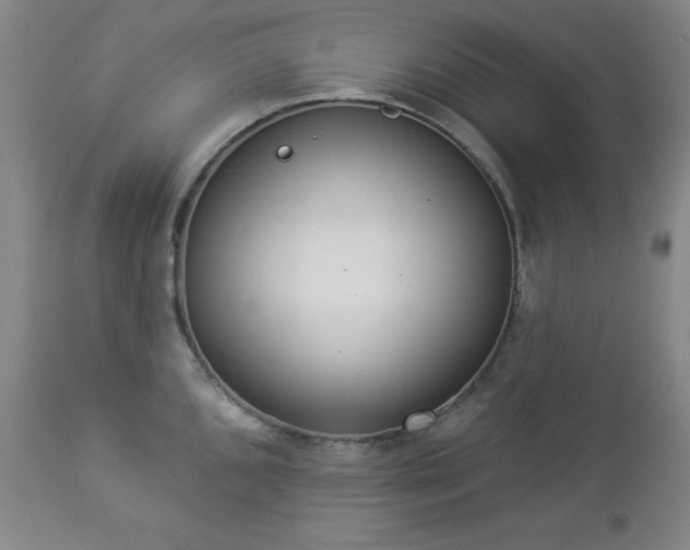 X0000112961096200909031016