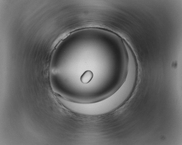 X0000112961097200909031016