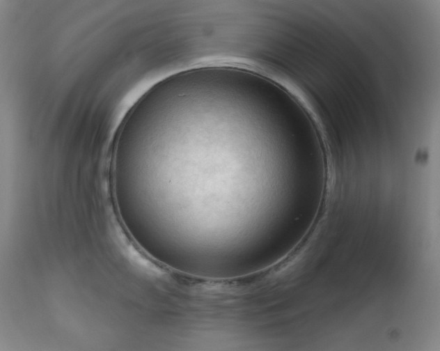 X0000112961102200909031015