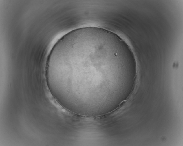 X0000112961104200909031015