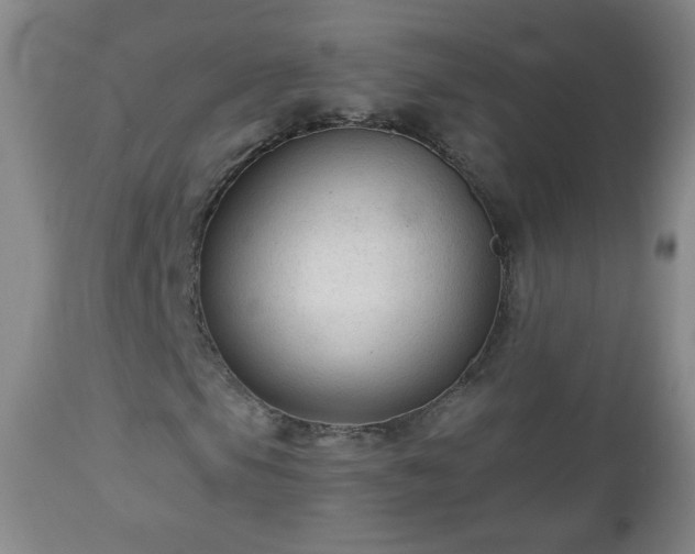 X0000112961105200909031015