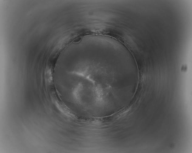 X0000112961106200909031015