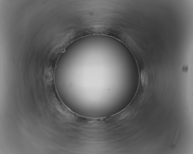 X0000112961107200909031015