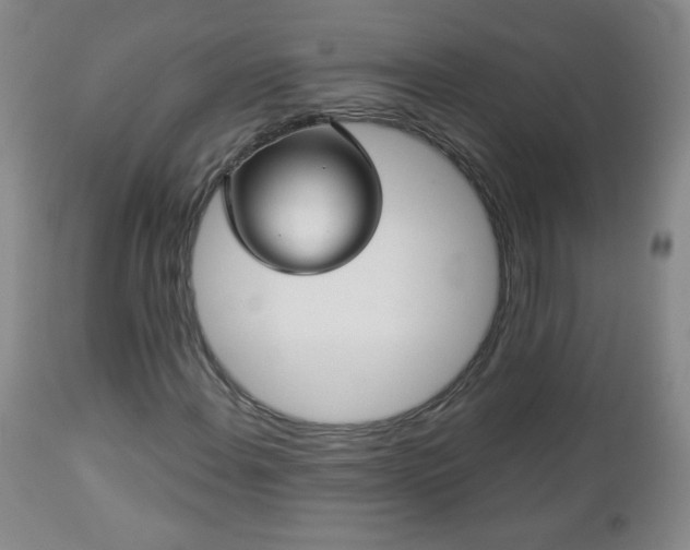 X0000112961108200909031015