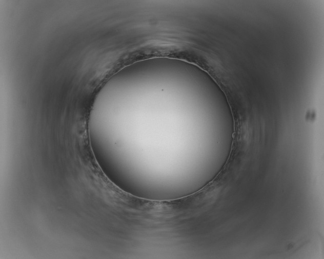 X0000112961109200909031015