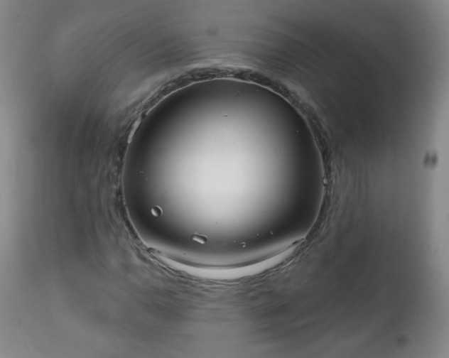 X0000112961110200909031015