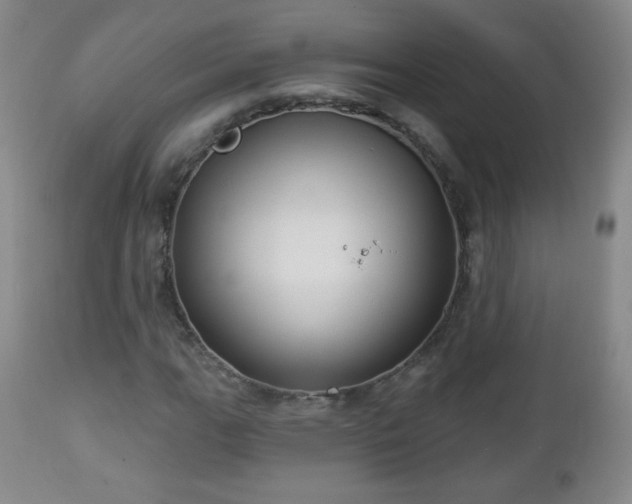 X0000112961111200909031015