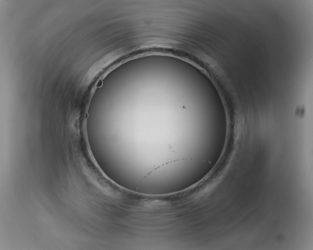 X0000112961113200909031015