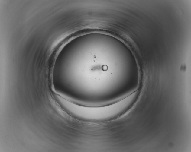 X0000112961114200909031015